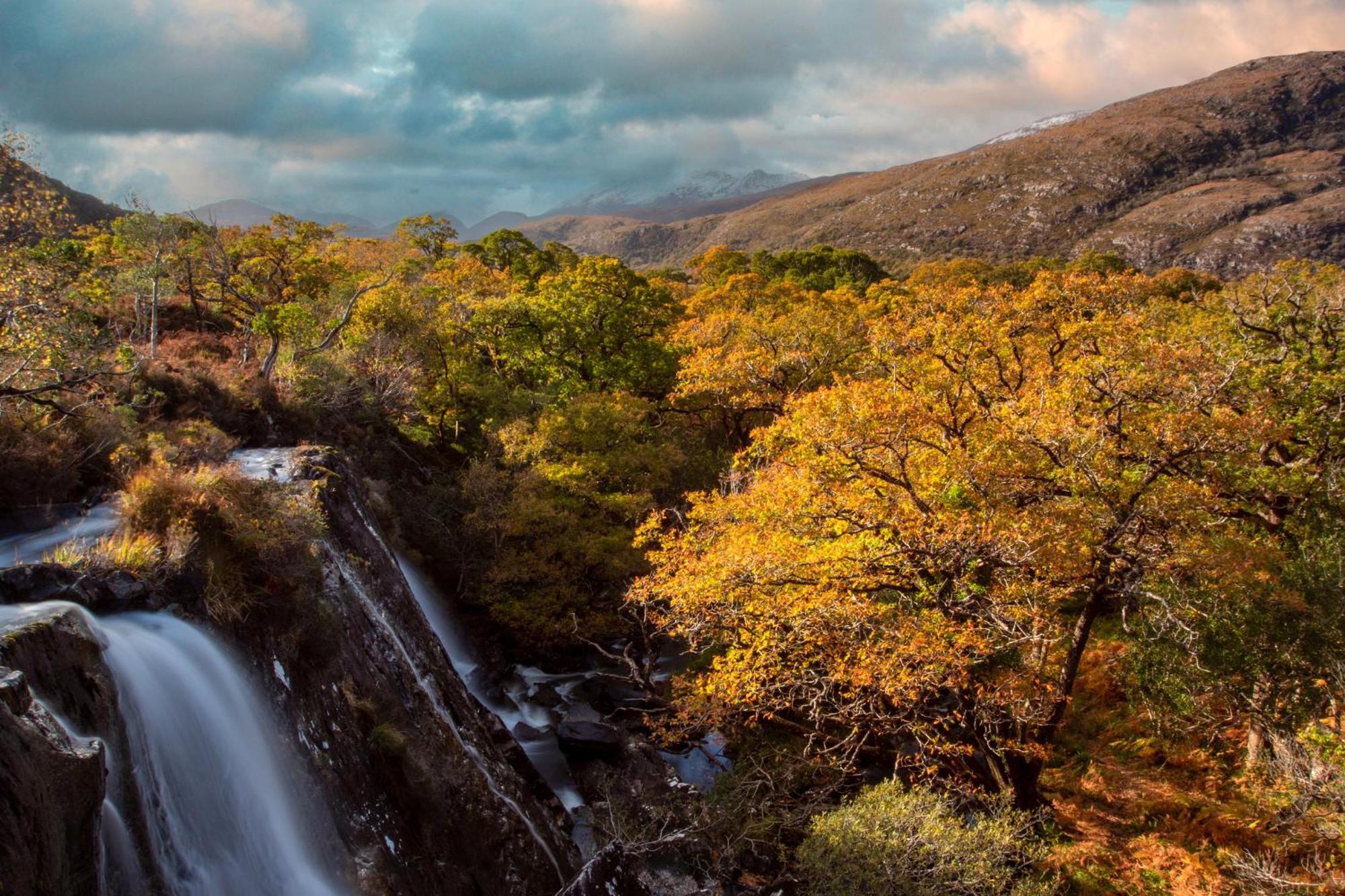 Killarney Heights Hotel Εξωτερικό φωτογραφία